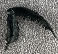 06-mantis-claw(r)-black.jpg