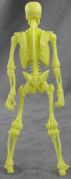 Hacks-skeleton-yellow-02.jpg