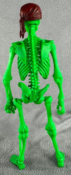 File:08-bossfightstudio-epic-hacks-skeleton-pirate.jpg