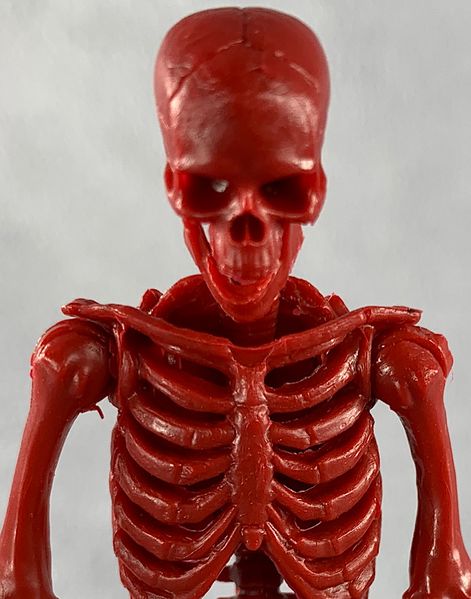 File:05-blood-red-skeleton.jpg