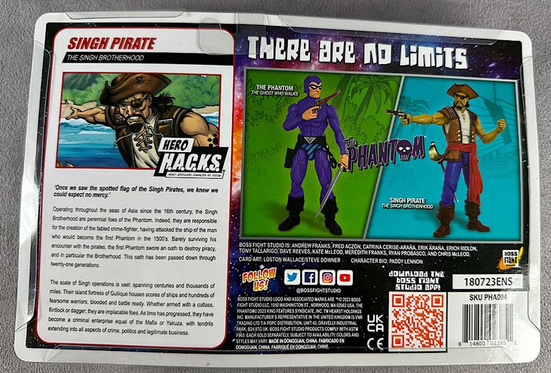 File:20-bossfightstudio-hero-hacks-singh-pirate.jpg