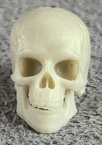 00-Vitruvian-HACKS-White-Skeleton-Head.jpg