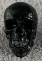 00-Vitruvian-HACKS-Black-Skeleton-Head.jpg