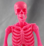 Hacks-skeleton-pink-03.jpg
