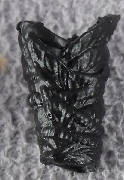 File:13-elf-gauntlet-l-black-character-kit.JPG