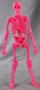 Hacks-skeleton-pink-01.jpg