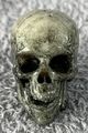 00-Vitruvian-HACKS-Skeleton-Warrior-Head.jpg