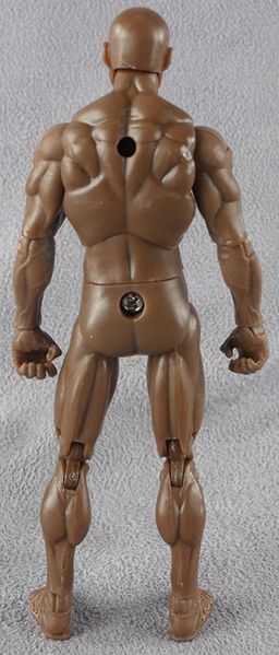 File:02-male-blank-walnut-back.jpg