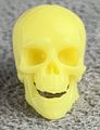 00-Vitruvian-HACKS-Yellow-Skeleton-Head.jpg