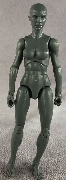 File:01-blank-female-shadow-gray-front.jpg