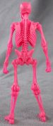 Hacks-skeleton-pink-02.jpg